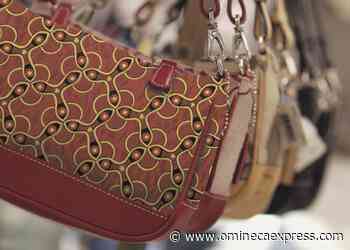 Princeton woman, 70, pursues purse snatcher through grocery store – Vanderhoof Omineca Express - Vanderhoof Omineca Express