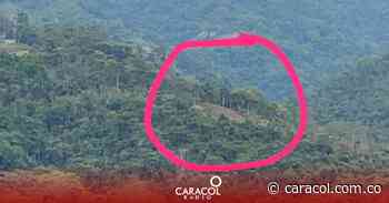 Denuncian nueva tala en cerros orientales - Caracol Radio