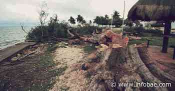 Condenaron tala indiscriminada en Quintana Roo para construir Boulevard Bahía de Chetumal - infobae