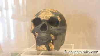 Scientists Push Back Humanity's Age By 30,000 Years After New Research