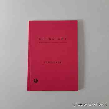 Finissage mostra Come Back e presentazione catalogo e opera pubblica di Raffaele Fiorella nei Sassi di Matera - Sassilive.it