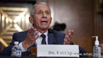 Fauci: Yearly COVID booster shot is possibility