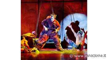 Notre Dame, vent’anni di opera pop - LA NAZIONE