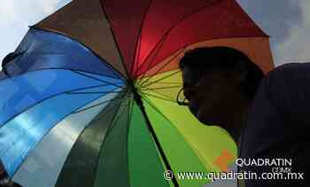 Otorgarán distintivo a negocios libres de discriminación y violencia - Quadratín Michoacán