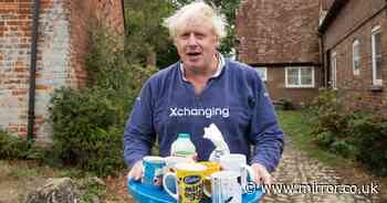 Boris Johnson's lavish country home, real name and massive earnings as journalist