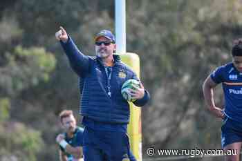 McKellar impressed by 'powerful' Brumbies on Wallabies return | Latest Rugby News | RUGBY.com.au - Rugby.com.au