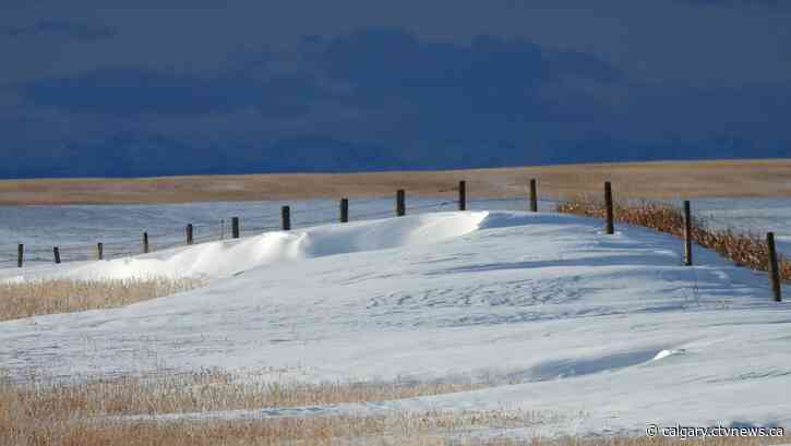 A warm weekend in Calgary ahead of a cooling early next week
