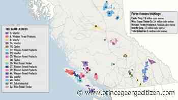 Fears rise over future of B.C. forest industry - Prince George Citizen