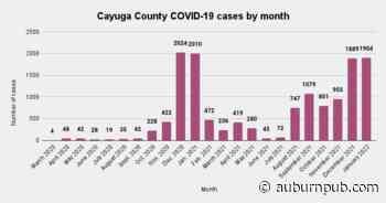 Cayuga County on verge of setting new record for COVID-19 cases in a month - The Citizen