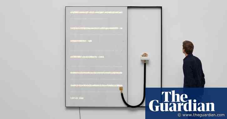 Walk into a human body, book dealers’ vandalised treasures and a 2D world – the week in art