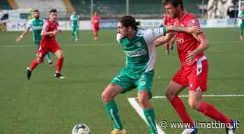 Avellino, il Lecco offre Iocolano per avere Plescia - Il Mattino