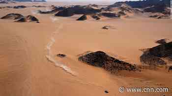 French mechanic dies in Dakar Rally accident