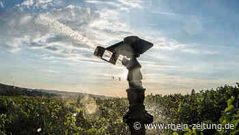 Moselwinzer diskutieren Bewässerung und Klimaschutz: Werden Weinberge in Zukunft beregnet? - Rhein-Zeitung
