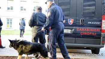 Blitz antidroga all'alba in sei province: 14 misure cautelari - IL GIORNO