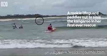 Lifeguard Makes Stunning First Rescue No One Saw Coming
