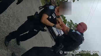 Video Shows Sunrise Police Sergeant Putting Hand on Fellow Officer's Throat