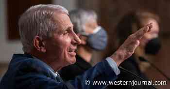 GOP Senator Who Fauci Called a 'Moron' Is Set to Introduce the 'FAUCI Act'