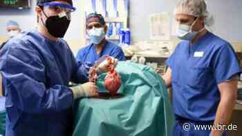 nano | Wissen : Schweineherz-Transplantation | Schweine als Organspender - BR24