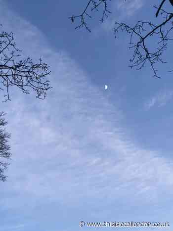 January Blues, Evie Allen-Jones