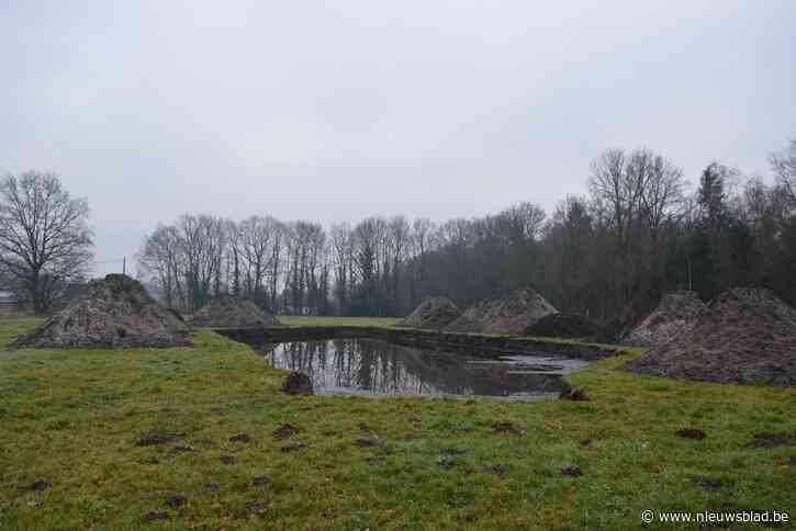 Dwergenbergen voor honden in aantocht met zwempoel