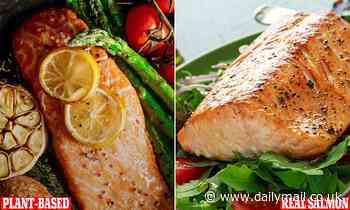 Plant-based salmon filet that is high in Omega-3 and protein is set to hit the market in 2024 