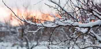 Durham Region issues extreme cold weather alert until Monday morning - durhamradionews.com