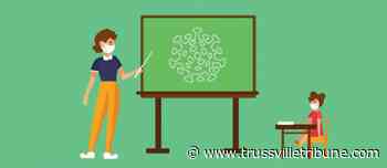 St. Clair County Schools to go virtual until Tuesday, Jan. 18 - Trussvilletribune