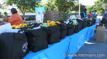 South Florida Honors Martin Luther King Jr.'s Legacy Ahead of MLK Day