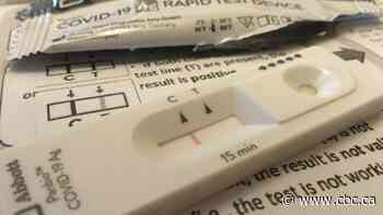 U of Sask student, epidemiologist team up to track Canada's rapid test results, fill COVID-19 data gaps