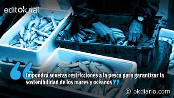 Sánchez pone al sector pesquero en la diana de su cruzada ‘ecochorra’ - Okdiario