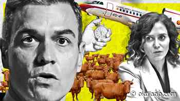 Ayuso deja a Sánchez en carne viva: «Una hora de Falcon produce las mismas emisiones que 16.000 vacas» - Okdiario