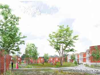 Voetbalveld in Nijlen wordt groen woonerf (BOT architektuurcollectief + ASPVM + TAK landschapsarchitecten) - architectura.be