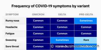 How Omicron symptoms differ from Delta, past COVID-19 variants: charts - Business Insider