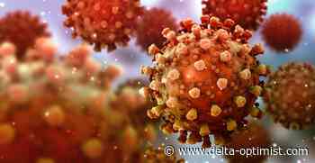 Delta sees drop in COVID cases this week - Delta-Optimist