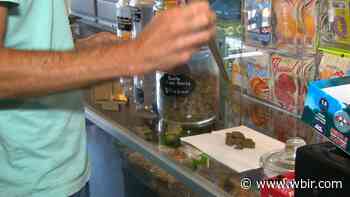 What's the difference between CBD, hemp and Delta-8? - WBIR.com