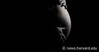 Study shows how Delta variant endangers pregnancy - Harvard Gazette