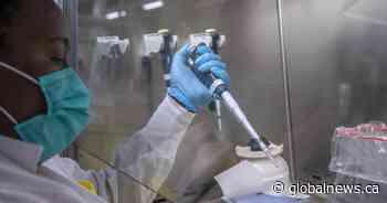 Omicron infection may enhance immunity against Delta variant, study suggests - Global News