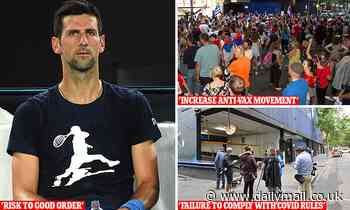 Key reasons why Novak Djokovic's visa was cancelled by Australia's Immigration Minister are revealed