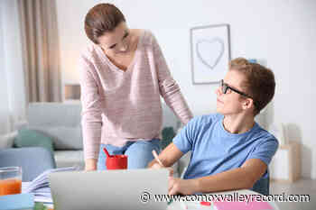 School District 71 offering information night on dual credit academics - Comox Valley Record