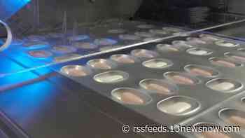 'Game changer' | UVA infectious disease experts say COVID-19 pill is promising, but not the cure