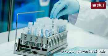 Corona-Inzidenzwert im Kreis Ravensburg über 500 - Schwäbische