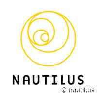 NFTs? A Really Dumb Idea