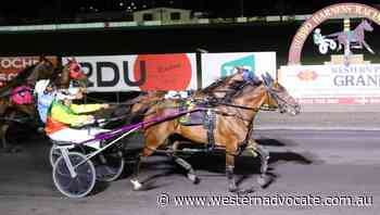 Bathurst trainer-driver McKayler Barnes makes it three wins in a row with Kingston Shannon - Western Advocate