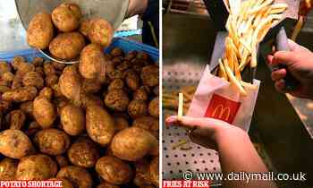 Storm near Ballarat, Victoria, puts half of the state's potato supply at risk, including McDonalds