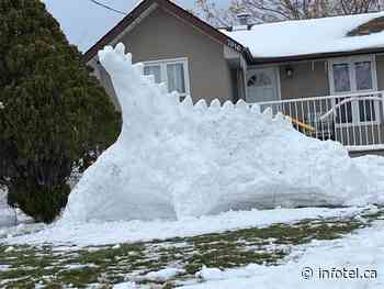 Osoyoos resident gets creative with all the snow in their yard | iNFOnews | Thompson-Okanagan's News Source - iNFOnews