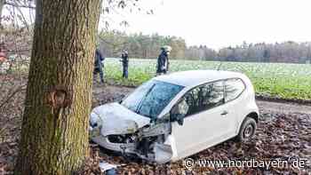 Gegen Baum geprallt: Autofahrerin stirbt im Landkreis Bamberg - Nordbayern.de