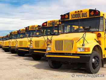 School bus companies prepare for return to class - The North Bay Nugget