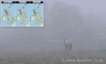 Freezing fog blankets the South East: Met Office warns of travel chaos