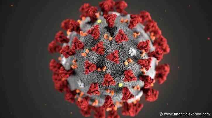 High levels of T-cells from common cold could provide  protection against Covid-19: Study