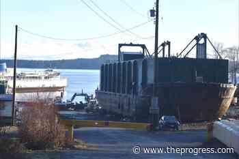 Global coalition calls for halt to Vancouver Island shipbreaking operation – Chilliwack Progress - Chilliwack Progress